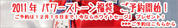 2011年パワーストーン福袋のご予約開始！今なら完全無農薬のカリフォルニア産『ホワイトセージ』をプレゼント！１２月１５日まで！！